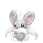 6IV Cinccino Indigo Disk Pokemon Scarlet and Violet